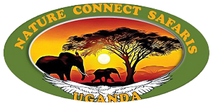 Nature Connect Safaris Uganda 